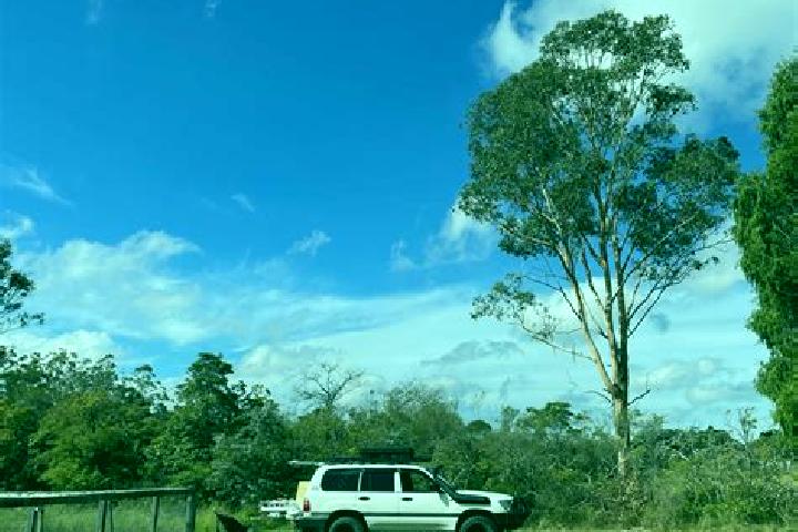 Quinn, 35 — Escort in Wedderburn, Australia