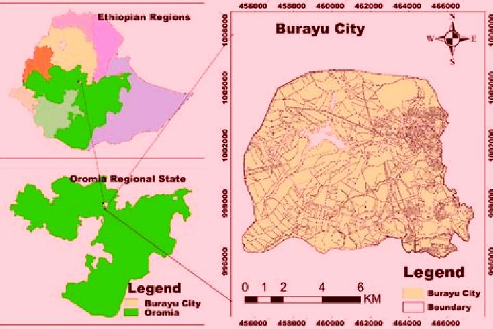 Quinn, 36 — Escort in Burayu, Ethiopia