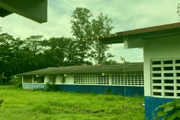 Quinn, 36 — Escort in Las Guabas, Panama