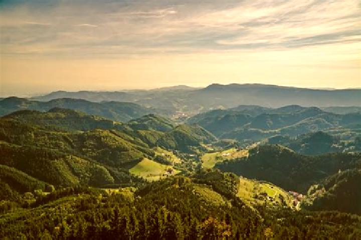Quinn, 36 — Escort in Ottenhofen im Schwarzwald, Germany