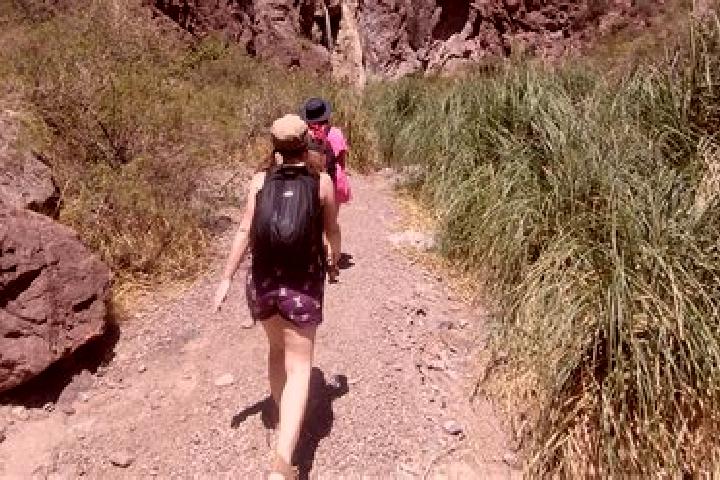 Quinn, 36 — Escort in Potrerillos, Mexico