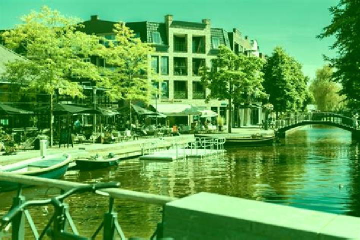 Quinn, 36 — Escort in Voorschoten, Netherlands