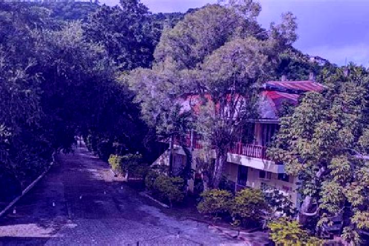Quinn, 37 — Escort in Castle Comfort, Dominica