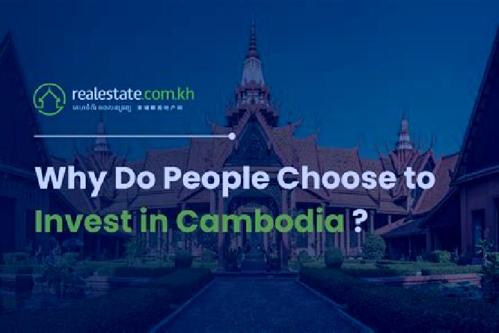 Quinn, 37 — Escort in Damrei Slab, Cambodia