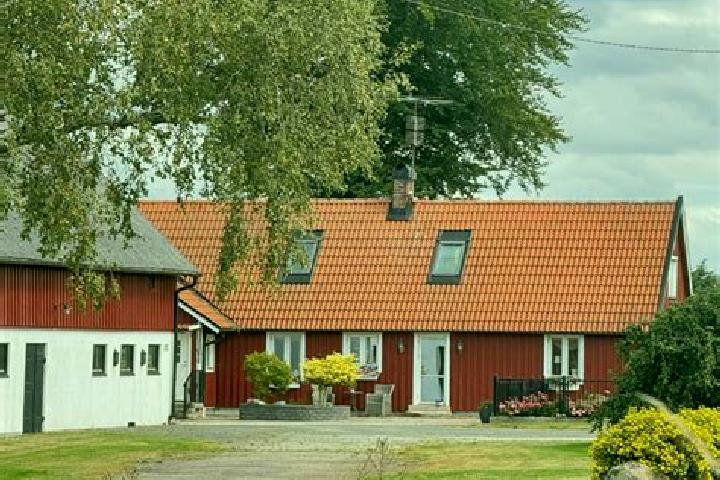 Quinn, 37 — Escort in Hoeoer, Sweden