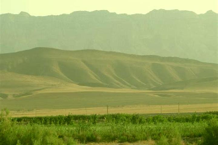 Quinn, 37 — Escort in Koeytendag, Turkmenistan