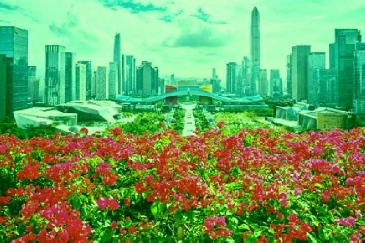 Quinn, 37 — Escort in Lianhuashan, China