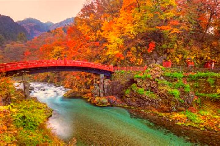 Quinn, 37 — Escort in Nikko, Japan