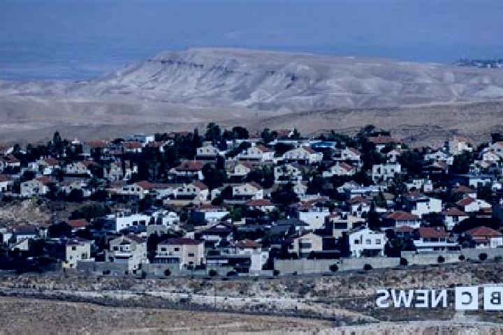 Quinn, 37 — Escort in Sal it, Palestine