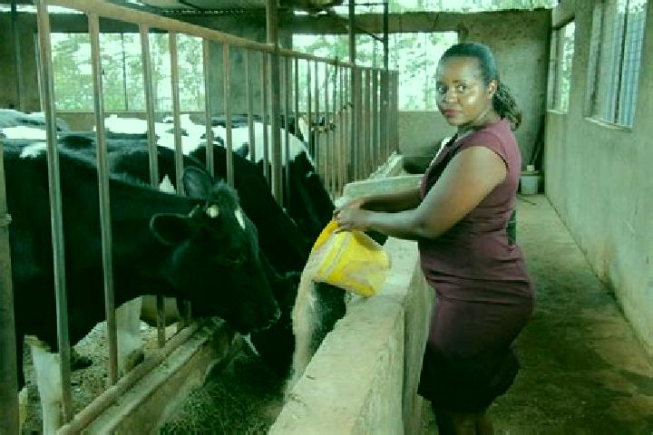 Quinn, 37 — Escort in South Kinangop, Kenya