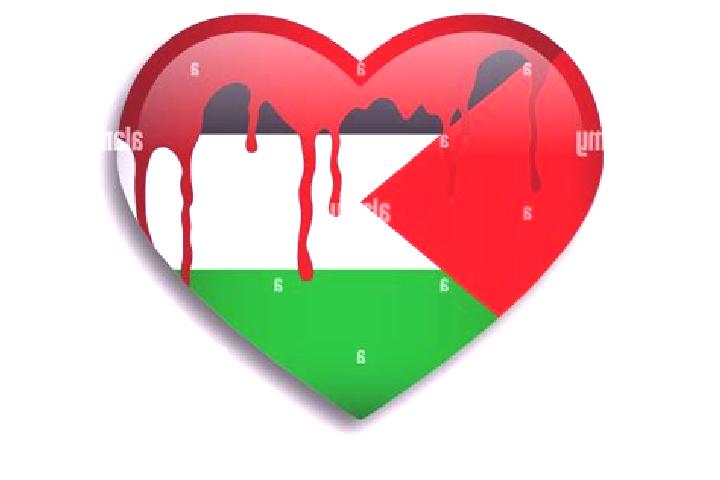 Quinn, 38 — Escort in An Nuway imah, Palestine