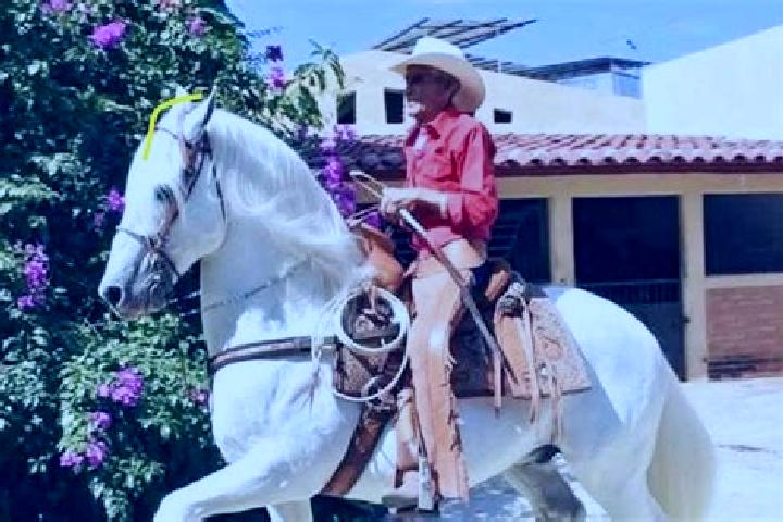Quinn, 38 — Escort in Azoyu, Mexico
