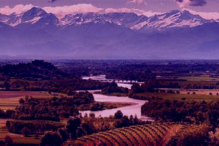 Quinn, 38 — Escort in Carcoforo, Italy