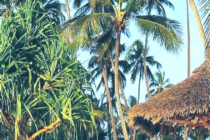 Quinn, 38 — Escort in Chala, Tanzania