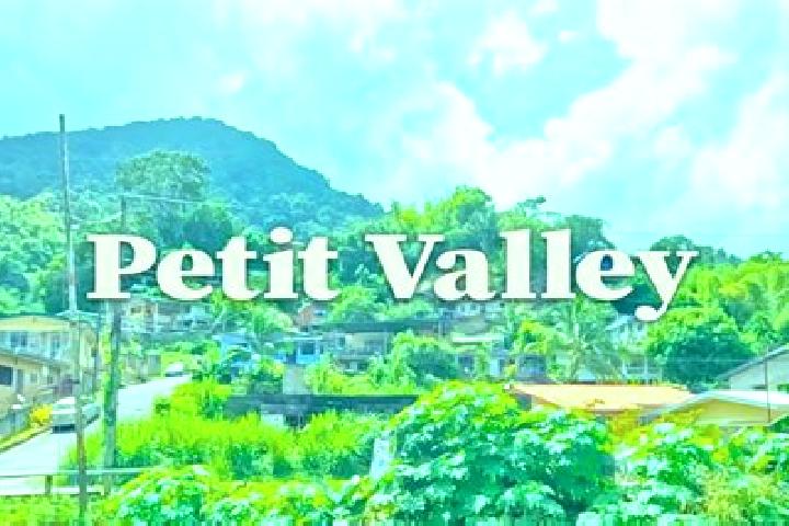 Quinn, 38 — Escort in Petit Valley, Trinidad and Tobago