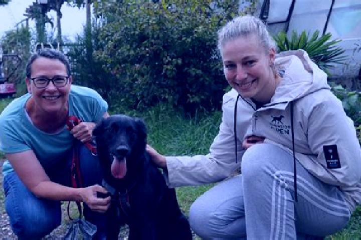 Quinn, 38 — Escort in Testorf-Steinfort, Germany