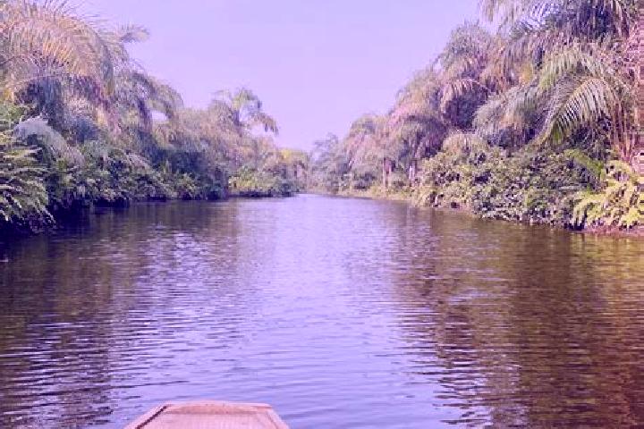 Quinn, 39 — Escort in Adjarra, Benin