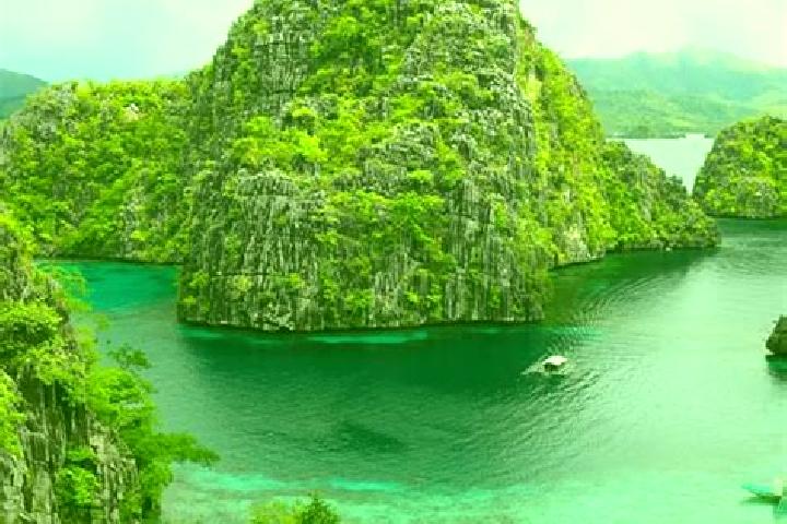 Quinn, 39 — Escort in Butazon, Philippines