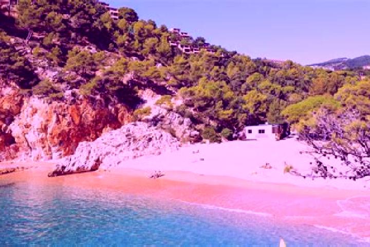 Quinn, 39 — Escort in el Poal, Spain