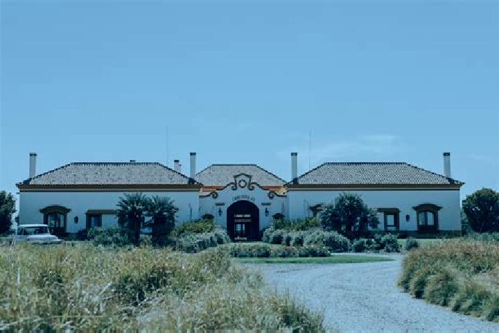 Quinn, 39 — Escort in La Estancia de Amezcua, Mexico