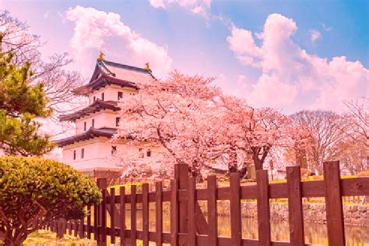 Quinn, 39 — Escort in Matsumae, Japan