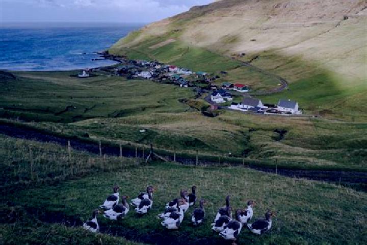 Quinn, 39 — Escort in Nordragota, Faroe Islands