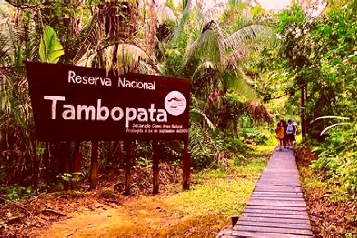 Quinn, 39 — Escort in Tambopata, Peru