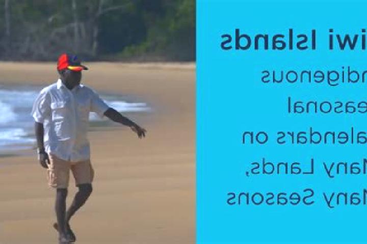 Quinn, 39 — Escort in Tiwi, Australia