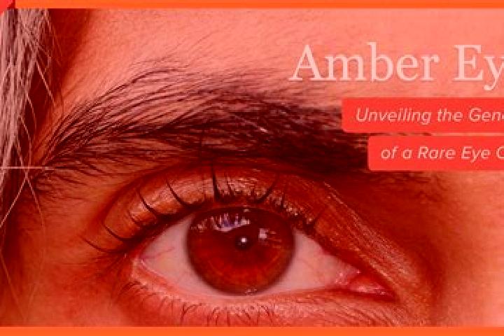 Riley, 20, a red amber-eyed caucasian companion based in Deniliquin. Offering Striptease, Erotic Massage, Fetish, Dinner Date. Available for incall and outca...