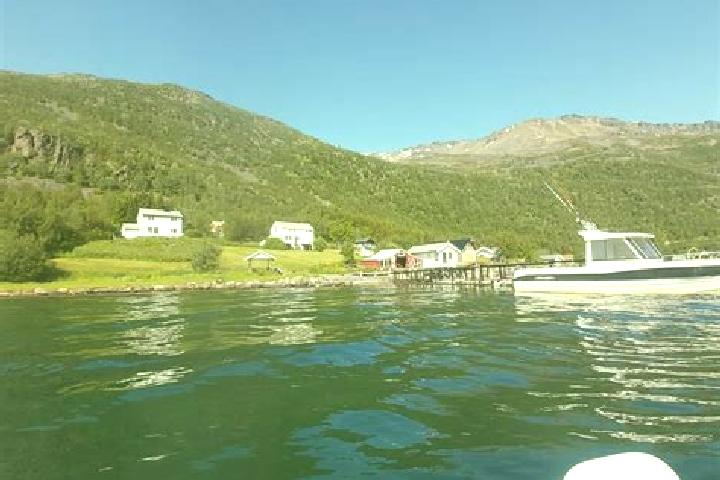 Riley, 20 — Escort in Burfjord, Norway