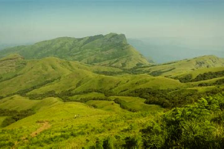 Riley, 20 — Escort in Kudremukh, India