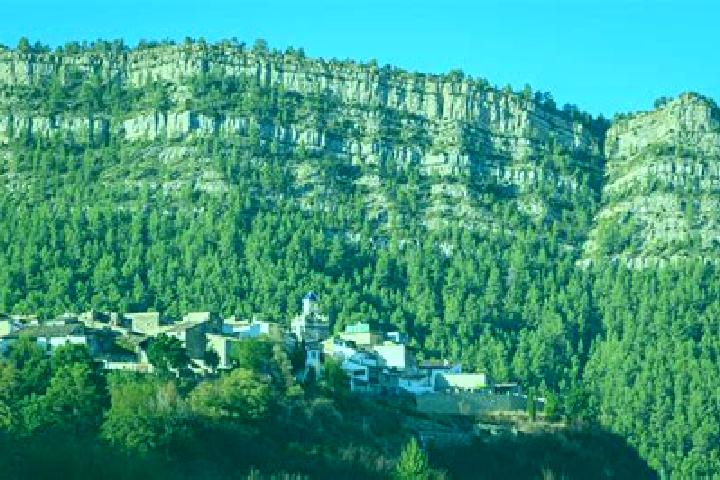 Riley, 20 — Escort in Puebla de Arenoso, Spain