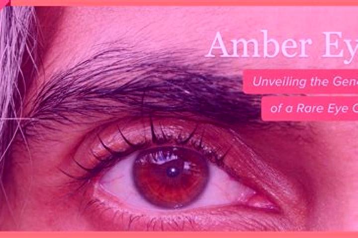 Riley, 21, a red amber-eyed indian companion based in Lubomierz. Offering Roleplay, Domination, Fetish. Available for incall and outcall, day and evening dates.