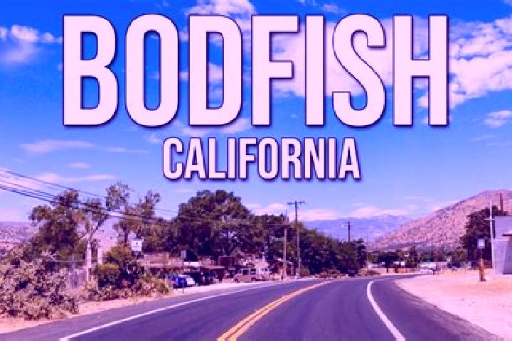 Riley, 21 — Escort in Bodfish, United States