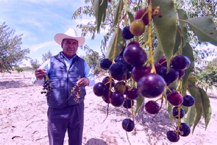 Riley, 21 — Escort in Capulines, Mexico