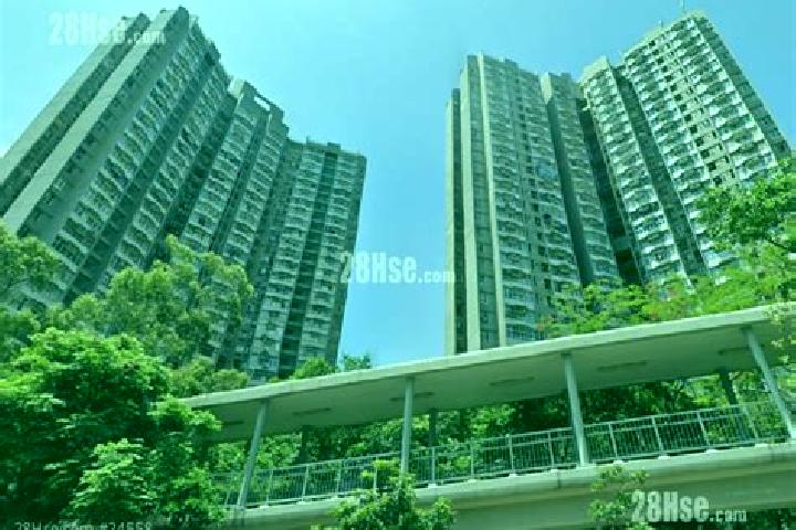 Riley, 21 — Escort in Tsui Wan Estate, Hong Kong