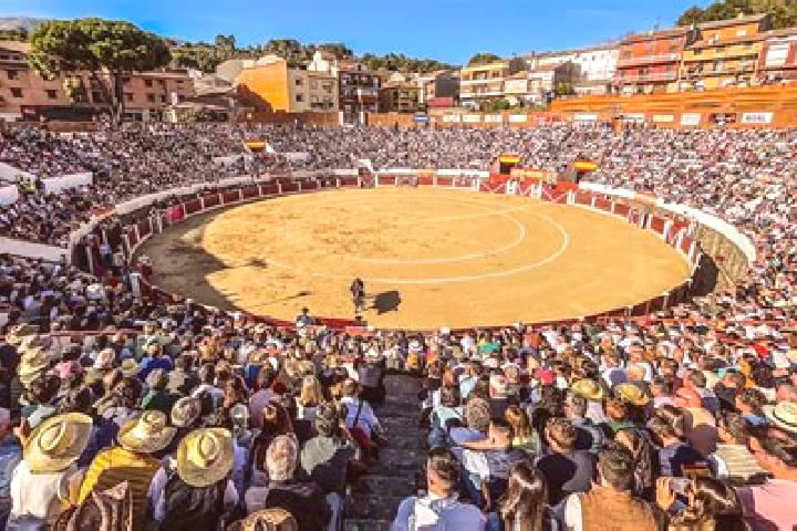 Riley, 22 — Escort in Arenas de San Pedro, Spain