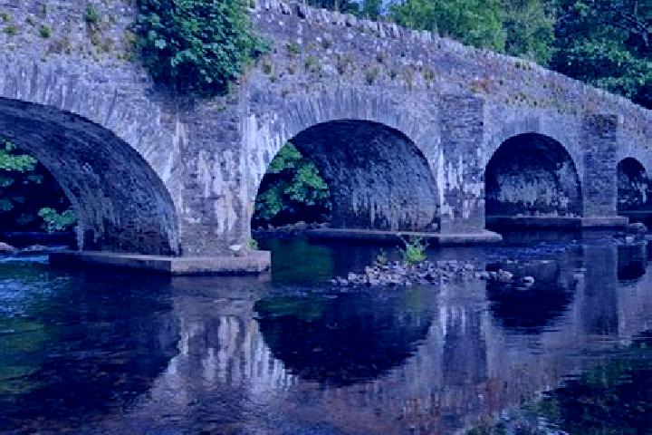 Riley, 22 — Escort in Aughrim, Ireland