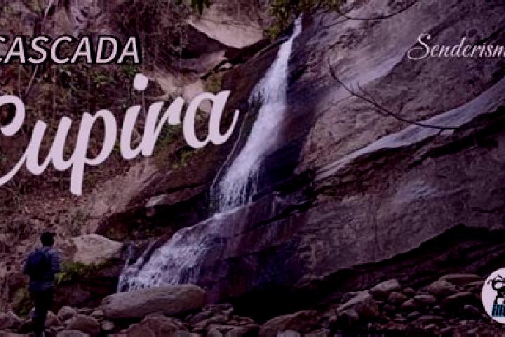 Riley, 22 — Escort in Cupira, Venezuela