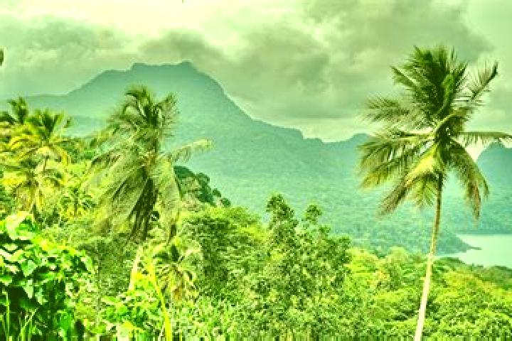 Riley, 22 — Escort in Lemos, Sao Tome and Principe