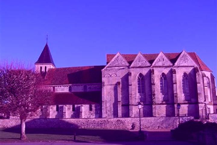 Riley, 22 — Escort in Martin-Eglise, France