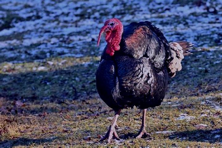 Riley, 23 — Escort in Aladag, Turkey