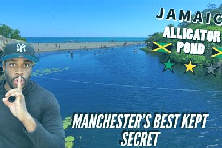 Riley, 23 — Escort in Alligator Pond, Jamaica