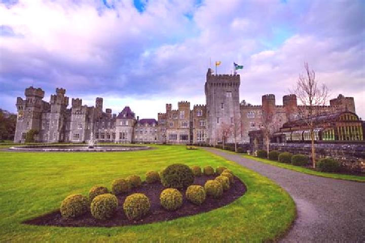 Riley, 23 — Escort in Ashford, Ireland