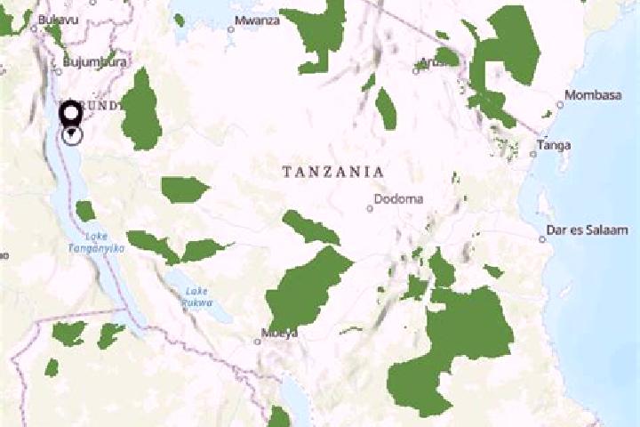 Riley, 23 — Escort in Boma la Ngombe, Tanzania