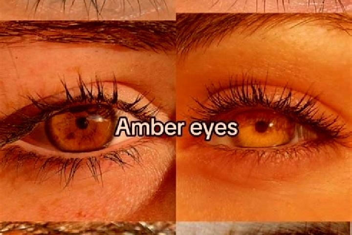 Riley, 24, a brunette amber-eyed caucasian companion based in Kafr Saghir. Offering Massage, Overnight, Fetish, Tantra, GFE. Available for incall and outcall...