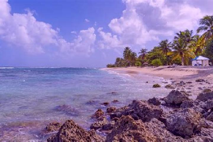 Riley, 24 — Escort in Anse-Bertrand, Guadeloupe