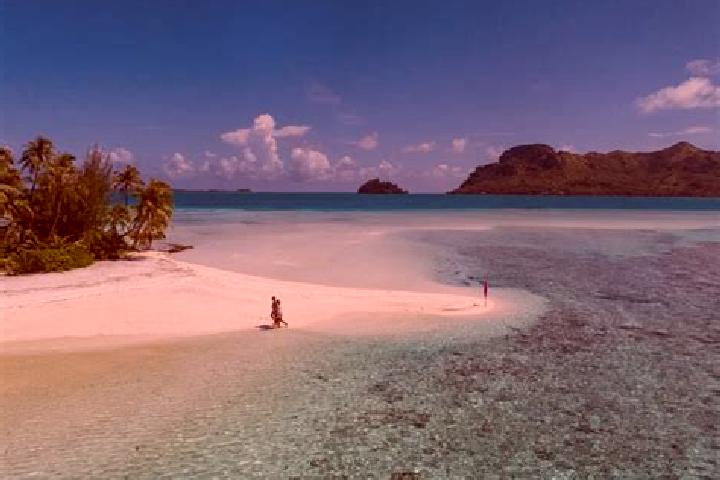 Riley, 24 — Escort in Arue, French Polynesia