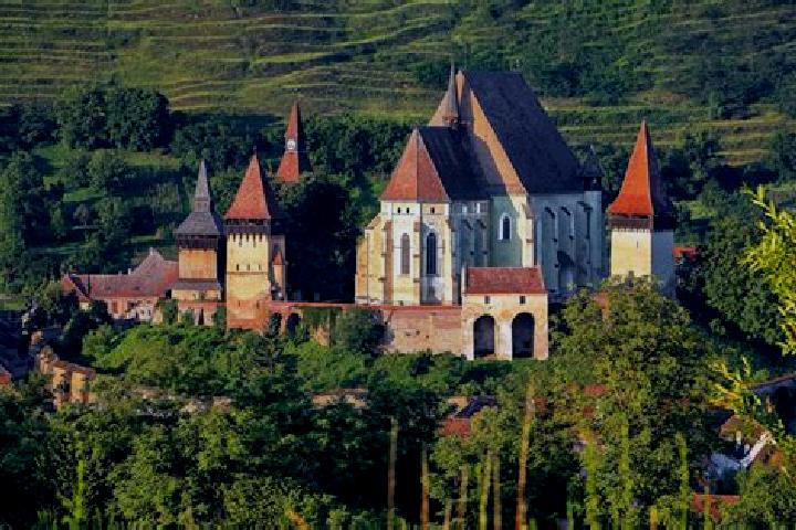 Riley, 25 — Escort in Biertan, Romania