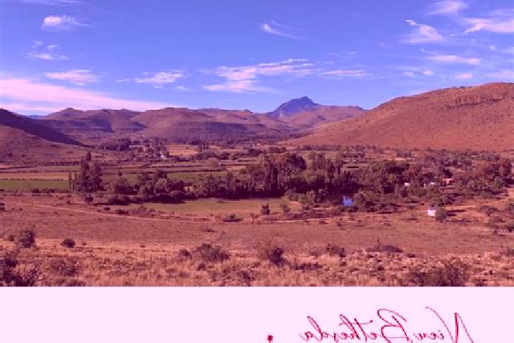 Riley, 25 — Escort in Nieu-Bethesda, South Africa